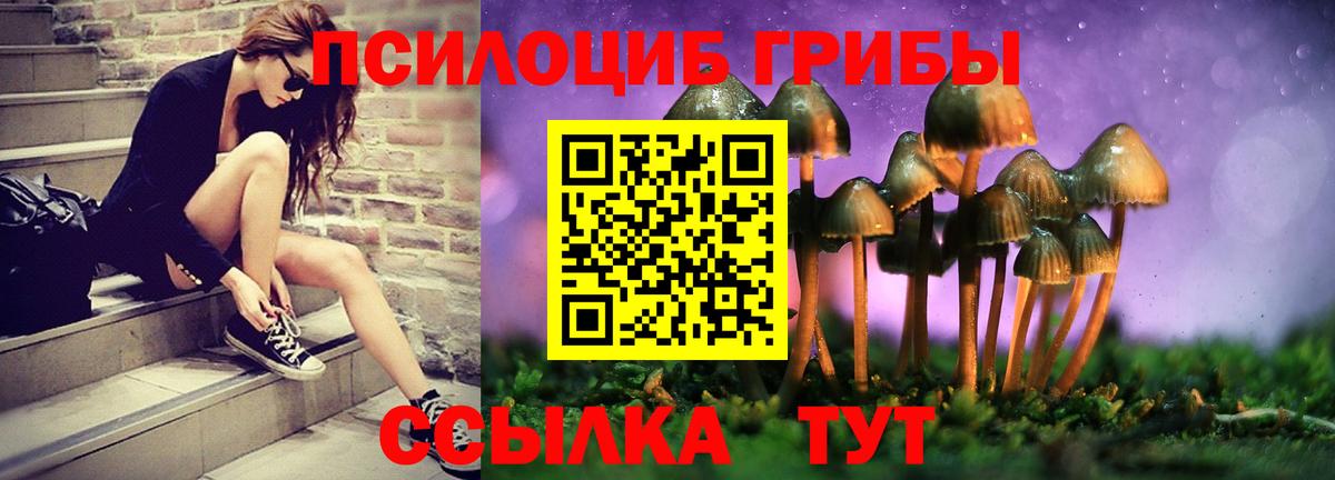 Ликино-Дулёво  Псилоцибиновые грибы Cubensis  Псилоцибиновые грибы MAGIC MUSHROOMS  Вход с VPN 